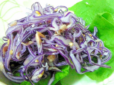 紫キャベツとシーチキンのサラダ